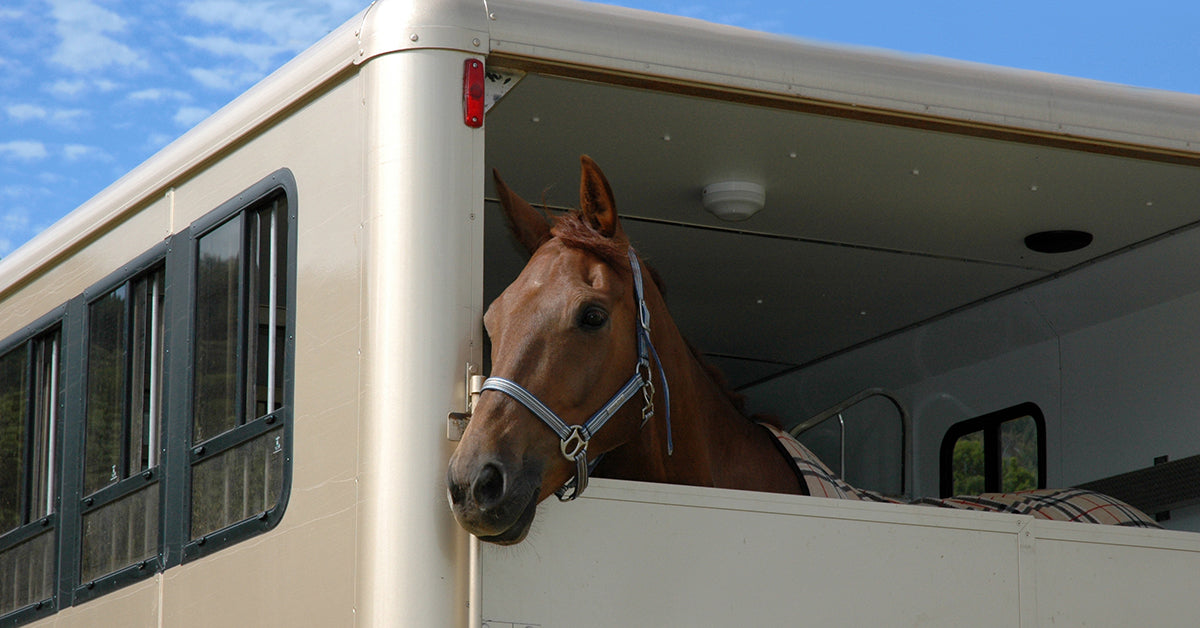 Horse Transportation Batteries