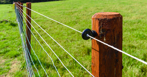 Electric Fence Batteries