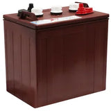 Trojan T105 Deep Cycle Battery